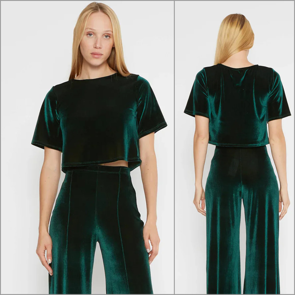 NWT Ripley Rader Velvet Short Sleeve Top in Green size 2(small)